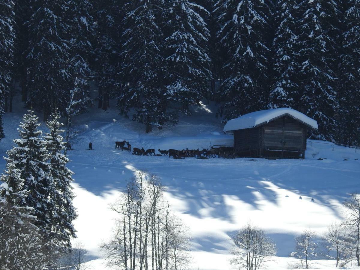Blockhaus Ganschitter Apartment Гросарл Екстериор снимка
